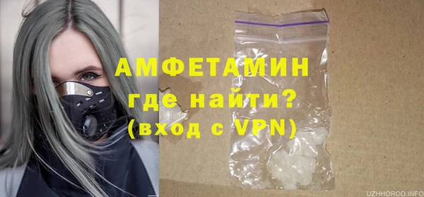 индика Арсеньев