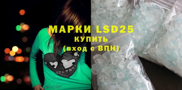 индика Арсеньев