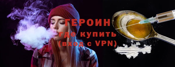 индика Арсеньев