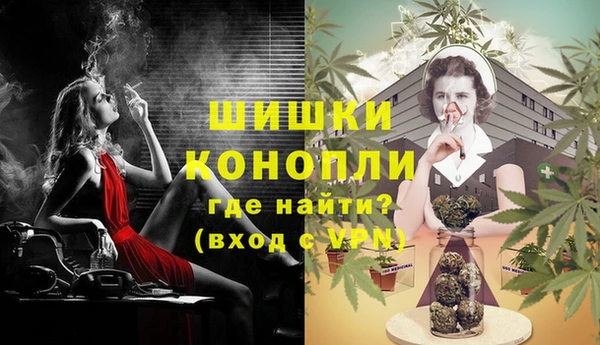 Альфа ПВП Аркадак