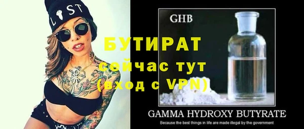 индика Арсеньев
