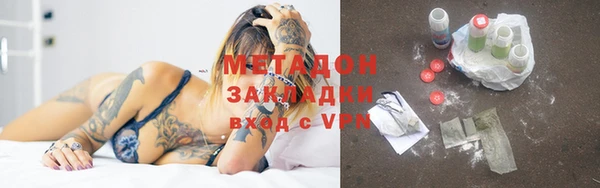 индика Арсеньев