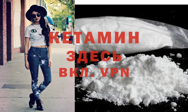 индика Арсеньев