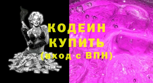 индика Арсеньев