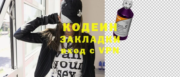 индика Арсеньев
