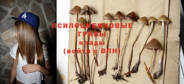 Альфа ПВП Аркадак