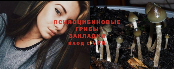 индика Арсеньев