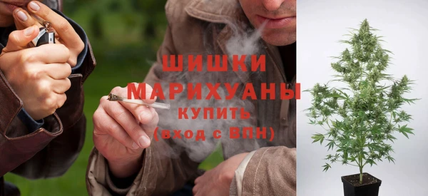Альфа ПВП Аркадак